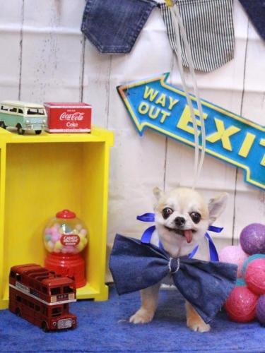 20230430momoちゃん